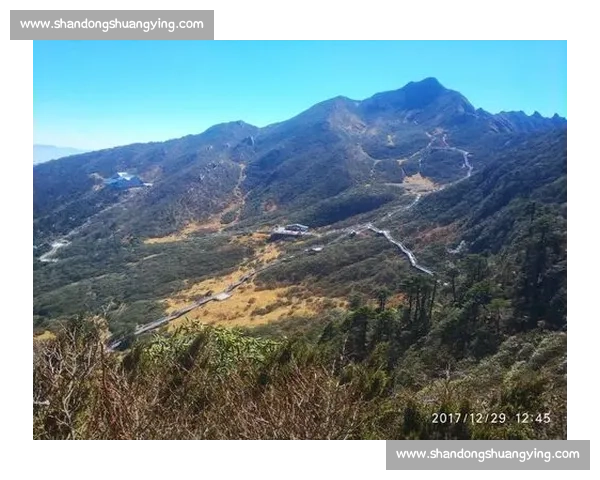 伯比克对阵阿里的世纪拳坛对决与传奇意义历史背景战术博弈全景解析