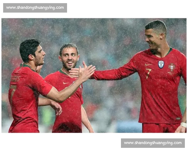 从欧洲杯到世界杯葡萄牙与法国百年对决史诗回顾荣耀与遗憾交织的足球记忆