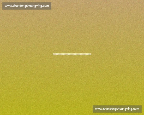 俄罗斯对阵韩国足球友谊赛展现新阵容与战术较量前瞻国际赛场表现观察