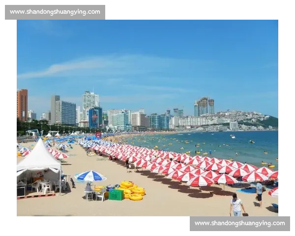 釜山对阵首尔城市荣耀之战揭示韩国足球格局新篇章巅峰碰撞与未来走向